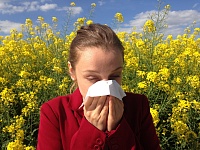 Как спастись от аллергии весной: комментарий тюменского врача