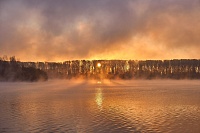 Профилактика лесных пожаров: в Тюменской области планируется провести 400 рейдов