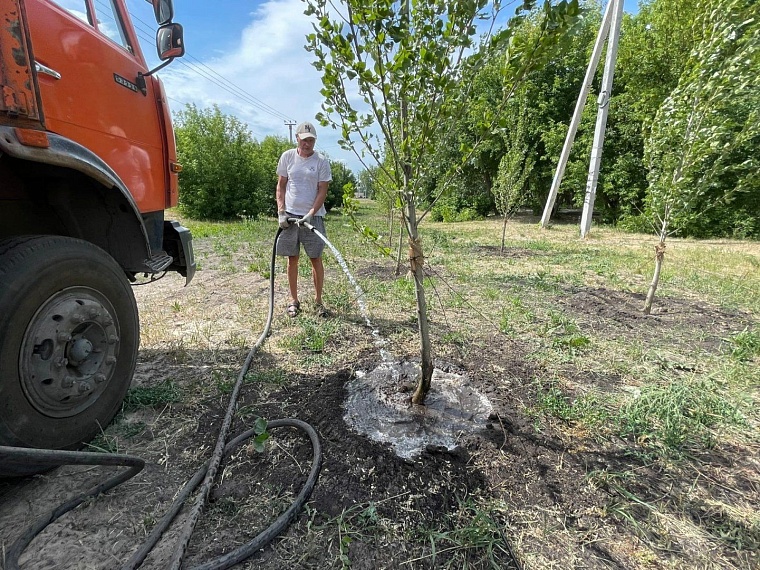 Аномальная жара в Тюмени: на полив каждого дерева уходит 125 литров воды