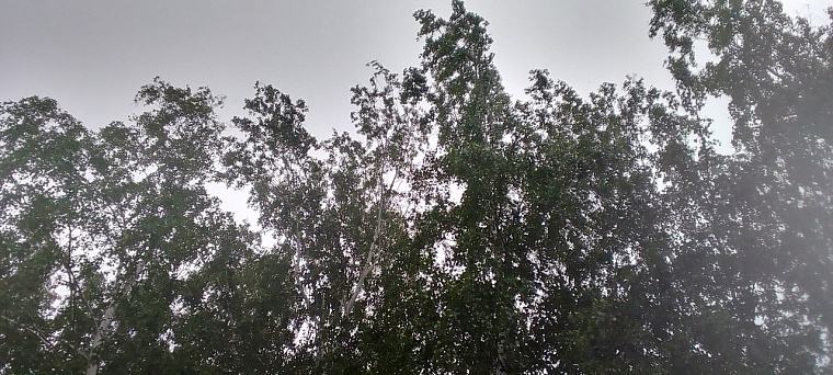 Народные приметы: гроза в этот день - не редкость