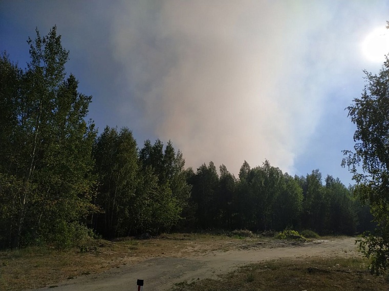 На нарушителей противопожарного режима в Тюменской области выписали штрафов на 6 млн рублей