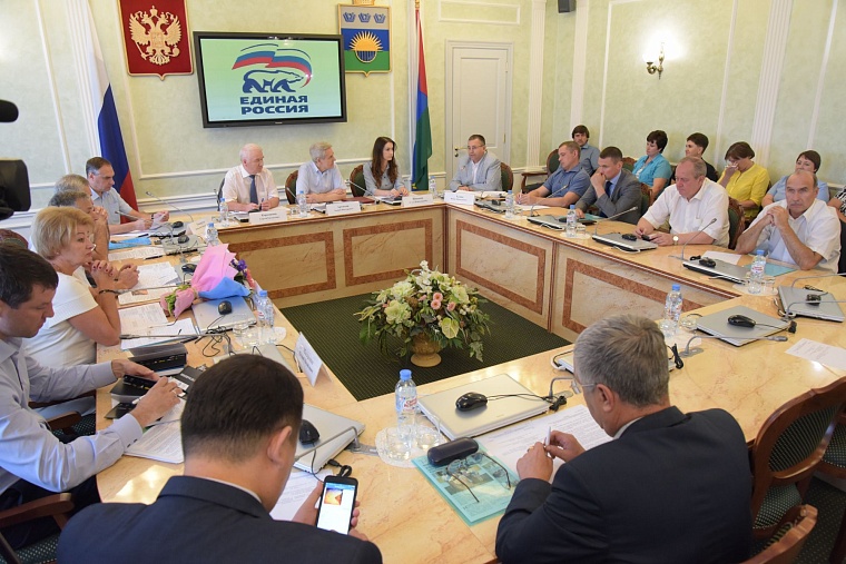 Единороссы подвели итоги выполнения партийных проектов за полугодие