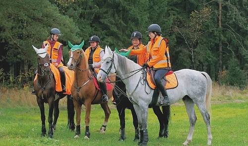 В Тюменской области создают конный отряд для поисков пропавших