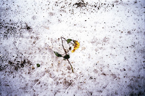 Недобросовестные возчики устроили несанкционированную свалку снега в Боровском