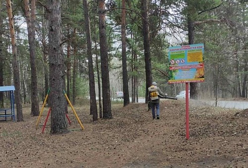 Сегодня в Тюмени начинаются противоклещевые обработки