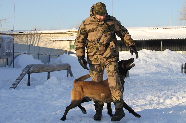 В Тюмень съехались кинологи со всей России