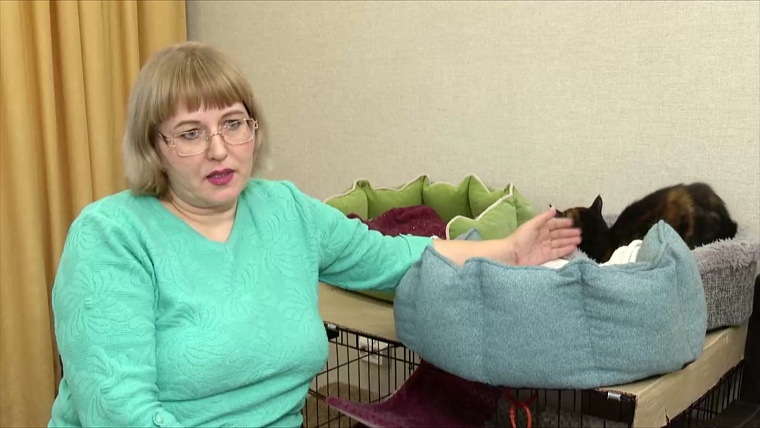 Тюменка держит в квартире 18 кошек