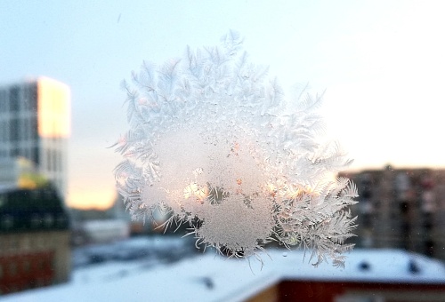 #НовогодниеОкна2023: тюменцы создают праздничное настроение себе и пожилым людям