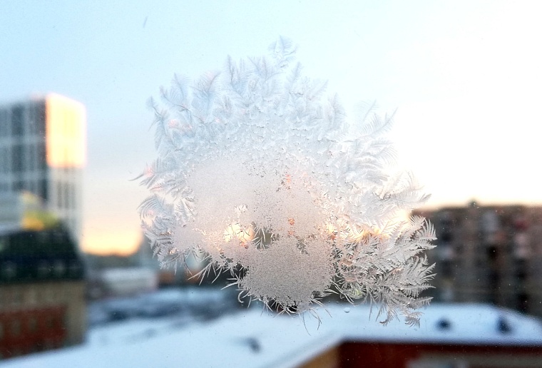 #НовогодниеОкна2023: тюменцы создают праздничное настроение себе и пожилым людям