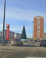 В Тюмени установили первую новогоднюю елку