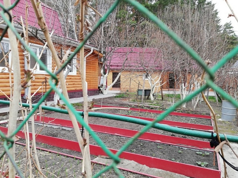 Тюменцам дали рекомендации по обрезке плодовых деревьев