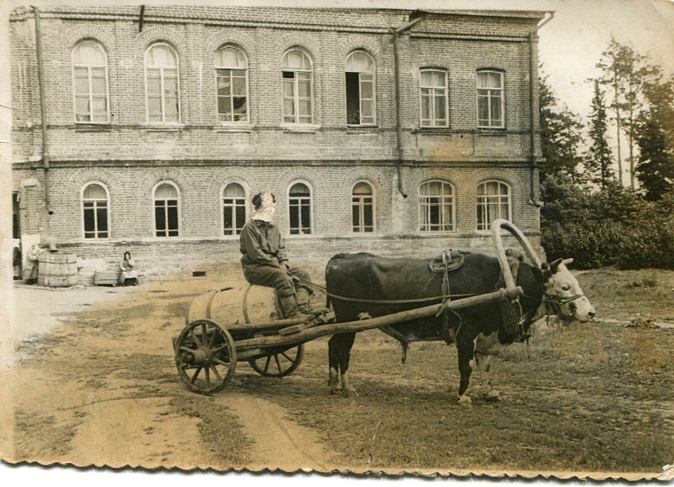 Здание Михайловского специального дома-интерната для престарелых и инвалидов 1950 году