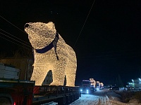 Белые медведи вернулись к Тобольскому кремлю