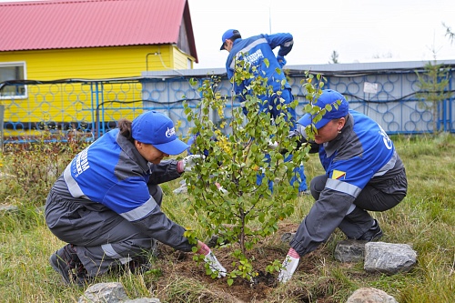 ООО «Газпром добыча Уренгой» реализует экологические проекты