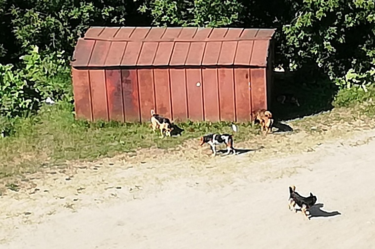 В трех округах Тюмени в 2023 году демонтируют все самовольные железные гаражи