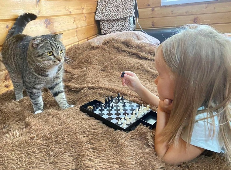 Тюменских школьников научат заботиться о животных