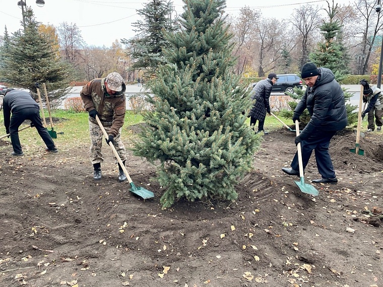 В Тюмени деревья и кустарники высаживают по просьбе горожан