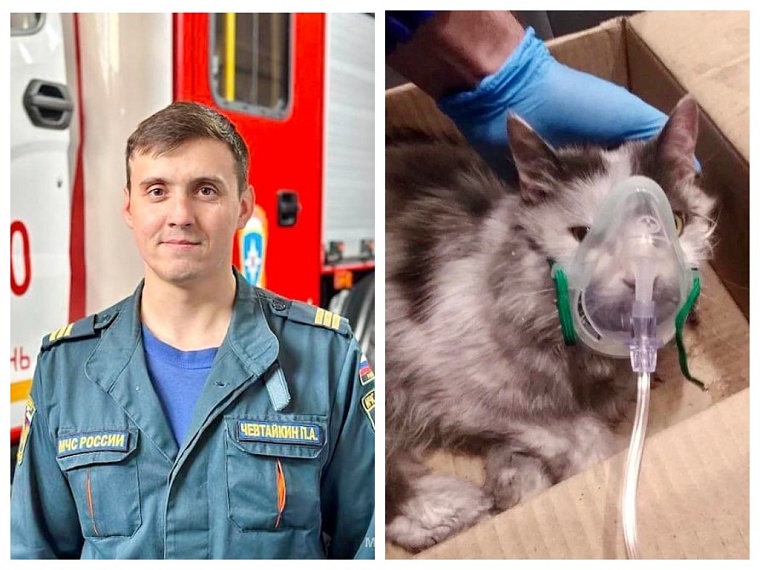 Кот в огне: пожарные рассказали, как спасали питомцев жителей Тюмени