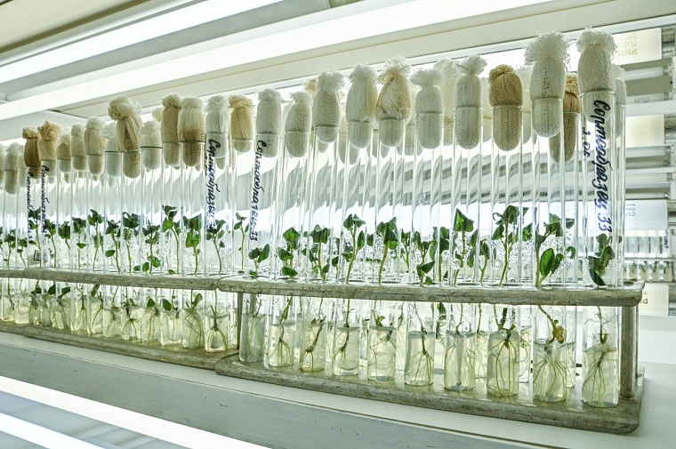 Александр Моор и глава Минсельхоза Дмитрий Патрушев побывали на заводе по переработке овощей  в Упоровском районе