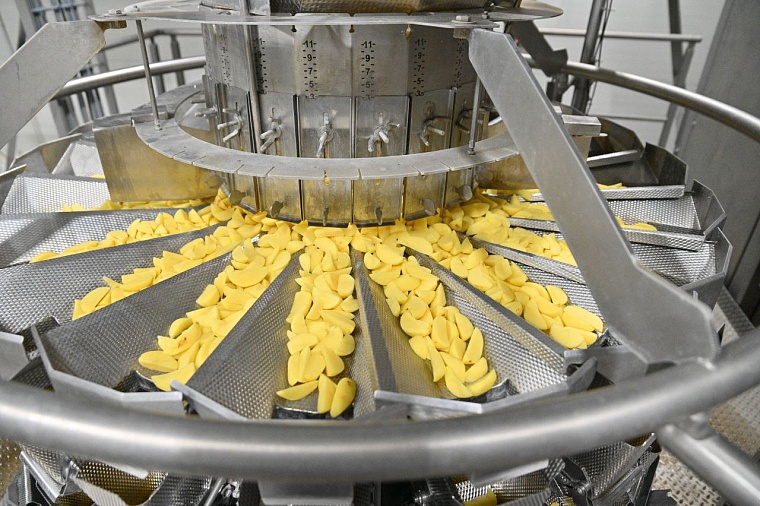 Александр Моор и глава Минсельхоза Дмитрий Патрушев побывали на заводе по переработке овощей  в Упоровском районе