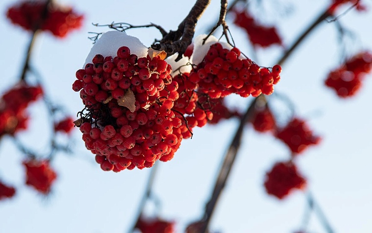Тюменцы возмущены отсутствием школьной актировки