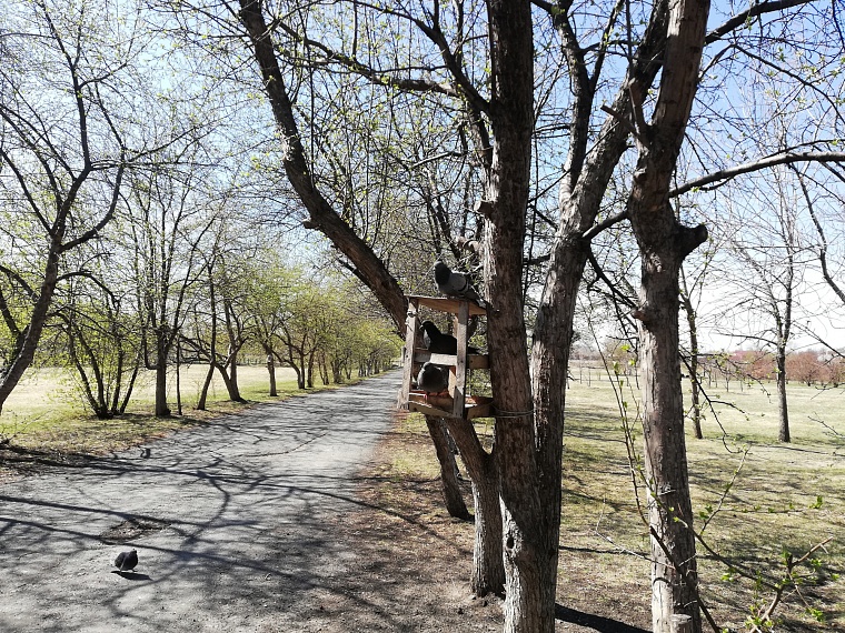 В Тюменской области уже 283 ребенка пострадали от укусов клещей