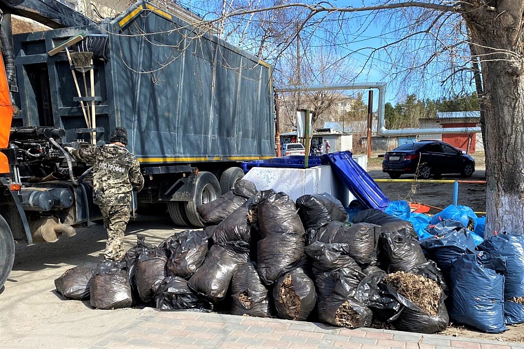 Мусор из тюменских дворов будут вывозить по летним правилам