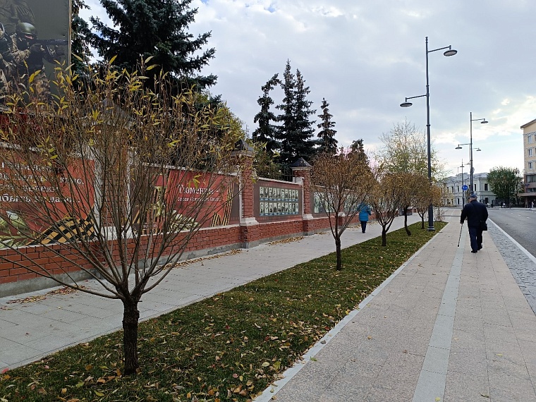 Белая брусчатка, лавочки, живая изгородь: как изменилась улица Ленина в Тюмени