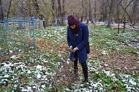 Волонтеры надеются сделать из Текутьевского кладбища музейный парк