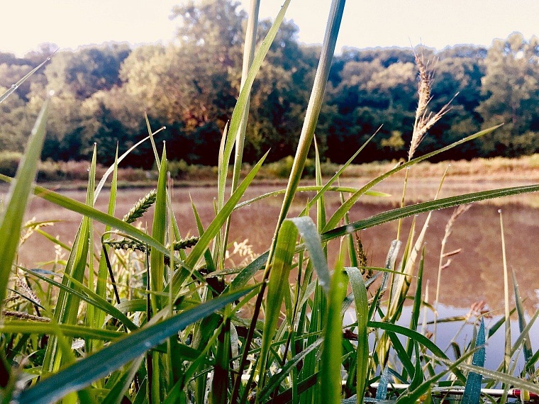 Опасно для здоровья. Почему нельзя купаться в сомнительных водоемах