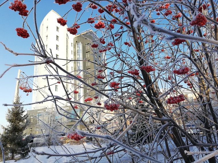 В Тюмени после Крещения прогнозируют потепление до -5 градусов