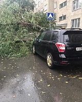 Городские службы Тюмени устраняют последствия ураганного ветра