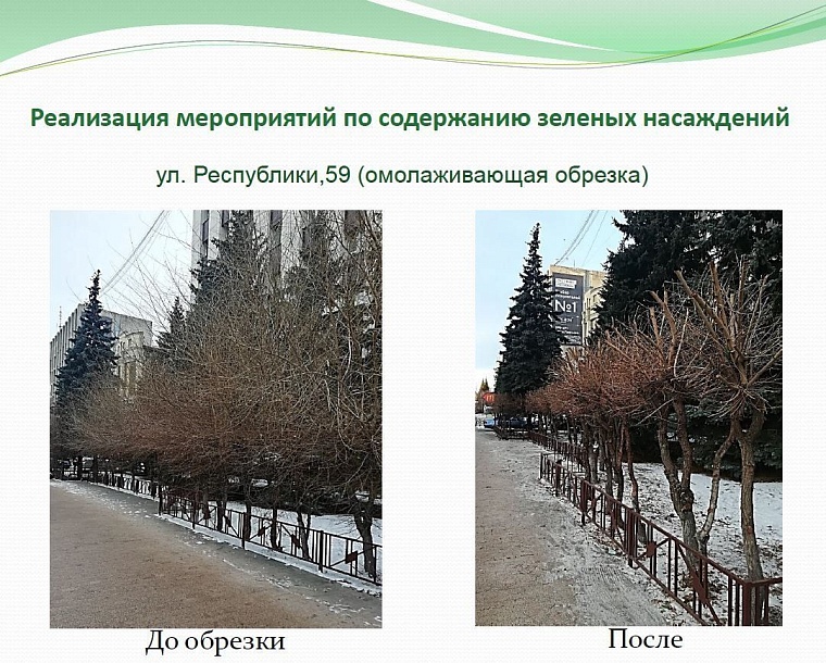 В 2021 году в Тюмени планируют снести почти 1,5 тысячи аварийных деревьев