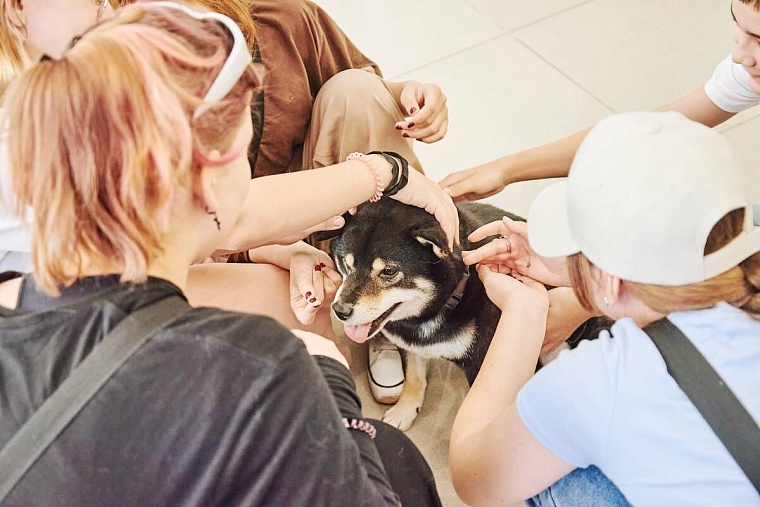 В Тюмени для детей участников СВО и подопечных реабилитационного центра проводят зоотерапию