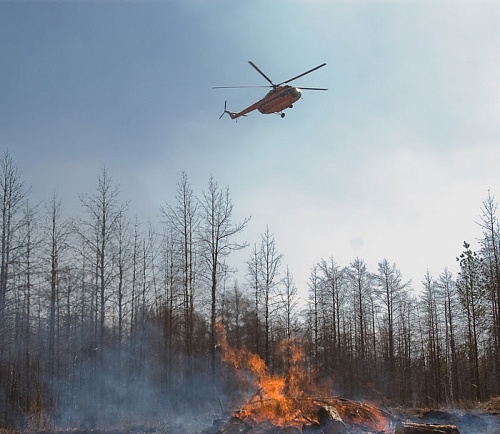 В Тюменской области тушили первые природные пожары