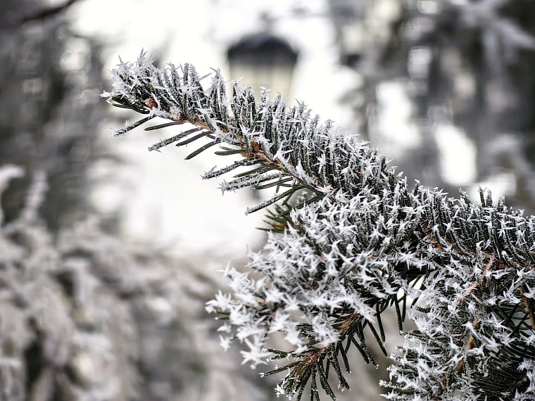 На Тюменскую область надвигаются 30-градусные морозы