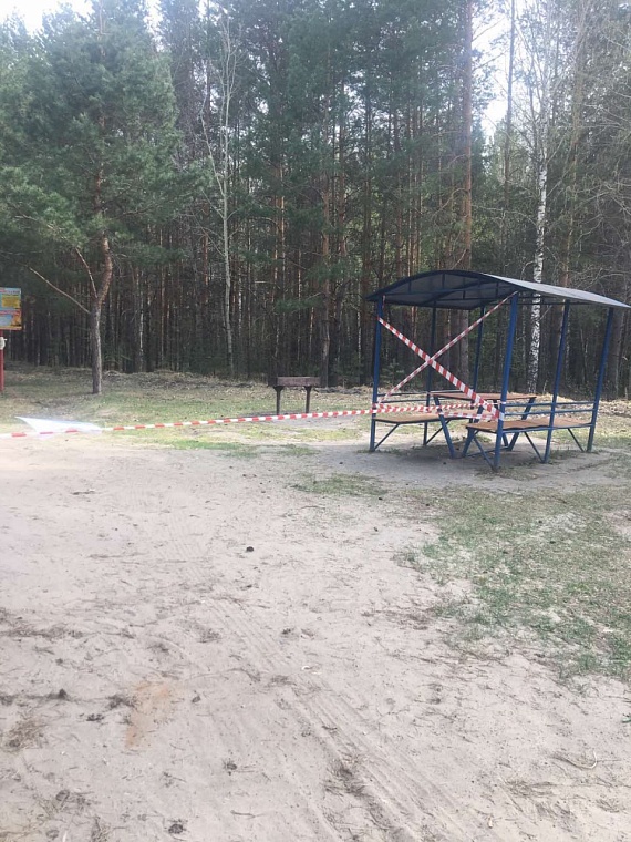 В официальных местах отдыха в Тюмени запретили жарить шашлыки