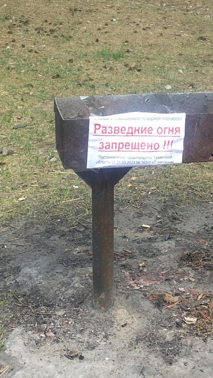 В официальных местах отдыха в Тюмени запретили жарить шашлыки