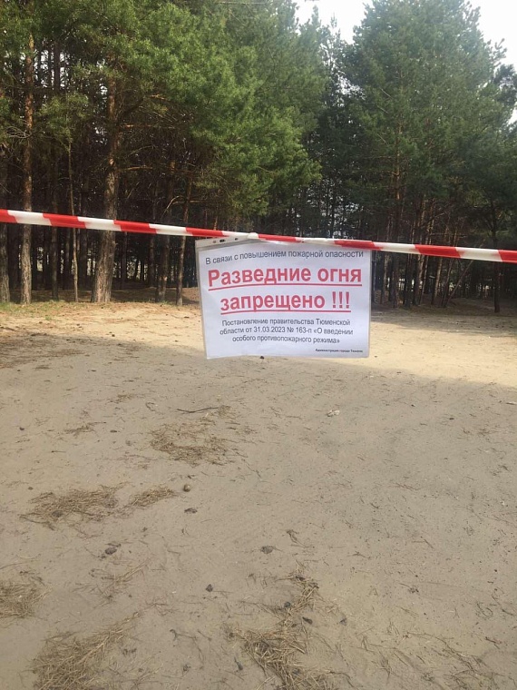 В официальных местах отдыха в Тюмени запретили жарить шашлыки