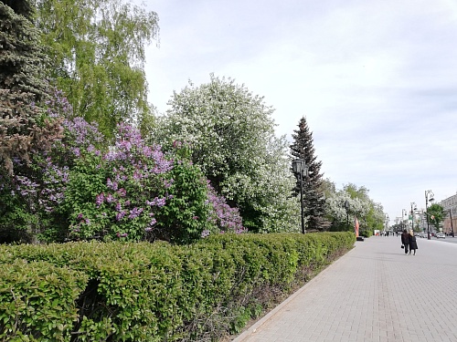 В Тюмени снова прогнозируют похолодание и сильный ветер