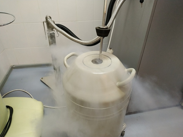 Тюменские криосауны оказались на грани выживания