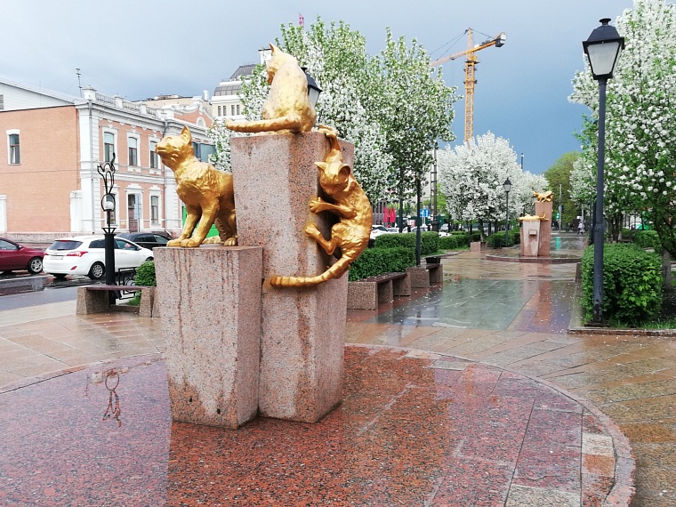 В Тюменской области прогнозируют похолодание и сильный ветер до 18 м/с