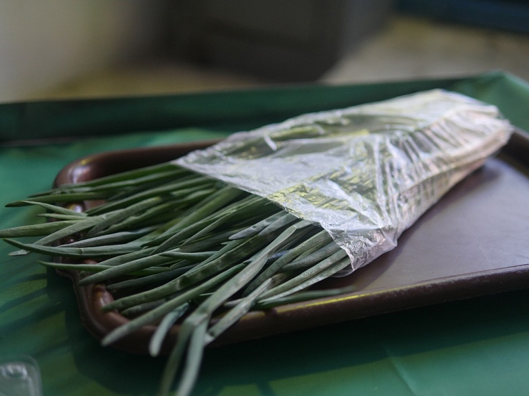 Лук из ИК-2 поставляют в тюменские торговые сети