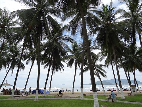 В сезон отпусков тюменцев проконсультируют по эпидобстановке в других странах
