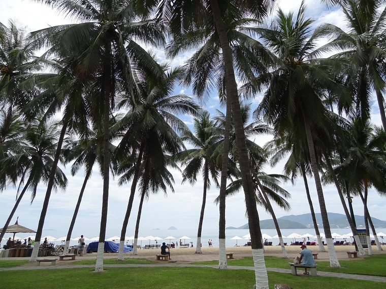 В сезон отпусков тюменцев проконсультируют по эпидобстановке в других странах