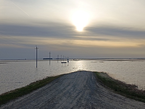 Пострадавшие от паводка дома в Тюменской области отремонтируют на бюджетные средства