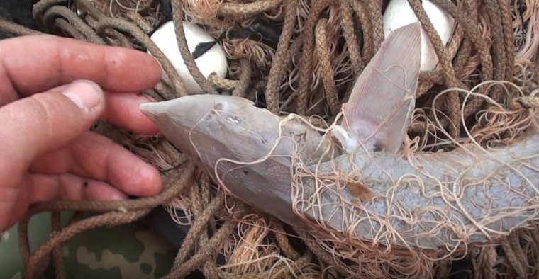 Фото: транспортная полиция Тюмени