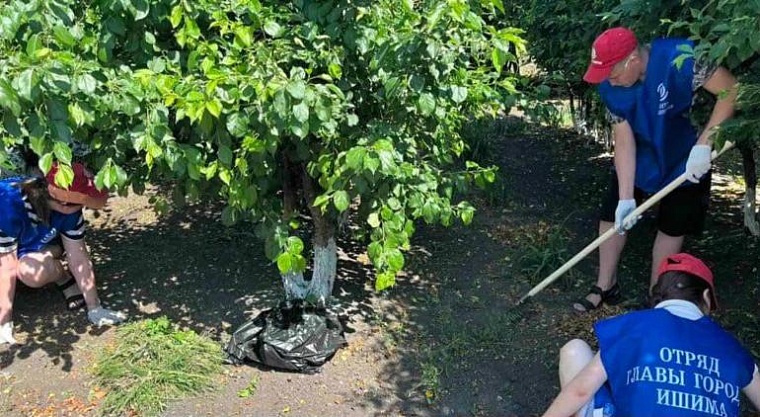 Больше 5000 тюменских подростков уже вышли на работу в летнюю кампанию