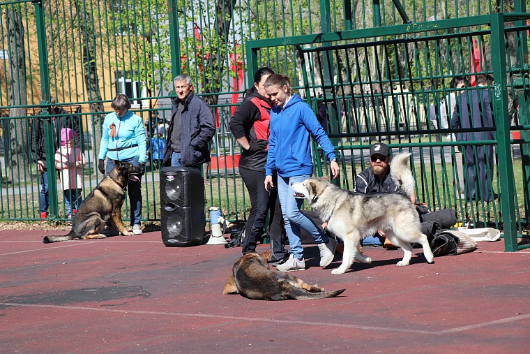 Тюменцы праздновали День Победы в сквере Депутатов и Комсомольском сквере