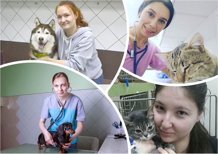 Как ветеринары в Тюмени спасают жизни животных